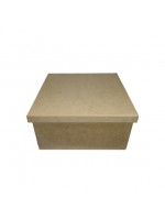 CAIXA TAMPA DE SAPATO 20X20X10 JL063