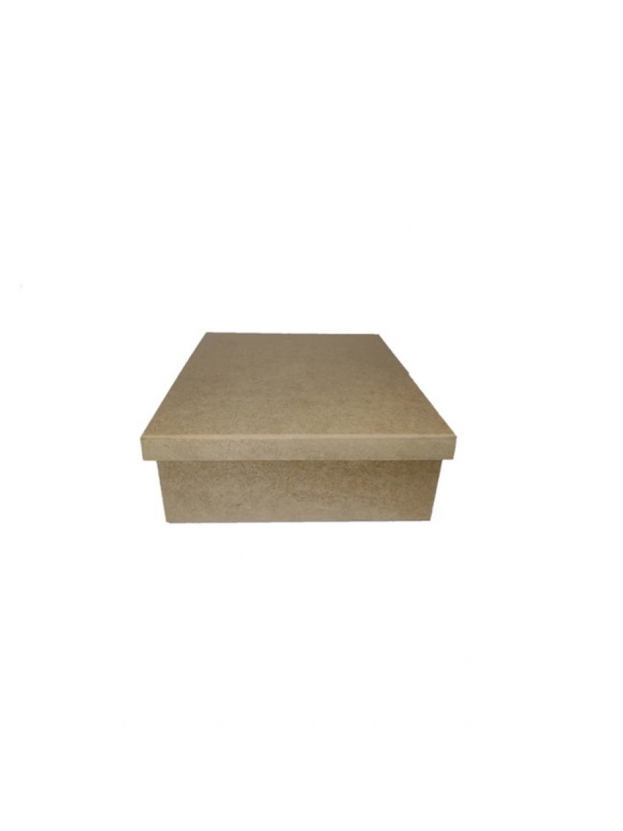 CAIXA TAMPA DE SAPATO 23X19X7 JL031