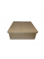 CAIXA TAMPA DE SAPATO 25X25X10 JL025