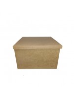 CAIXA TAMPA DE SAPATO 25X25X15 JL019