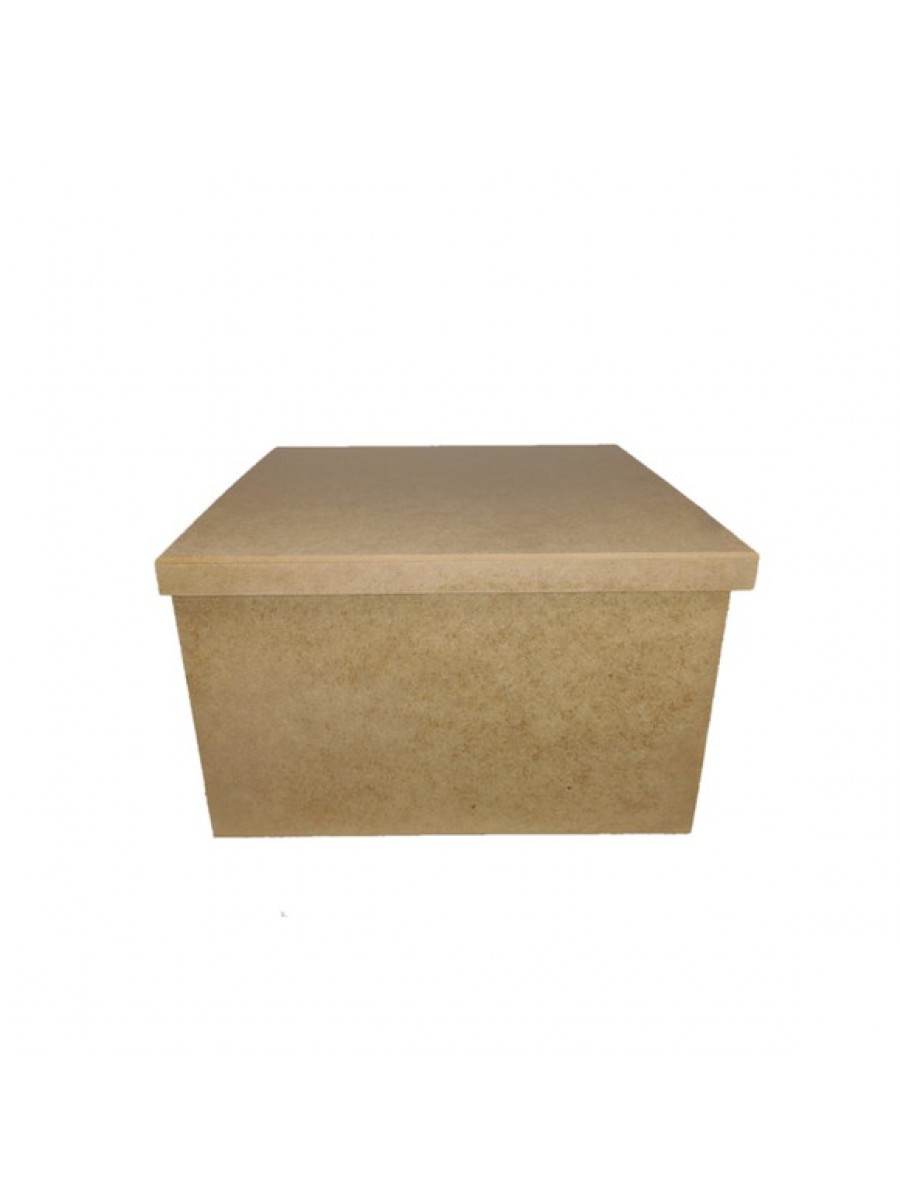 CAIXA TAMPA DE SAPATO 25X25X15 JL019