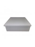 CAIXA TAMPA DE SAPATO 30X30X10 PINTADA JL015B