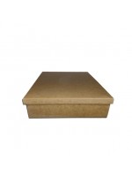 CAIXA TAMPA DE SAPATO 36X26X7 JL020