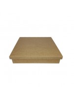 CAIXA TAMPA DE SAPATO 25X25X5 JL014 