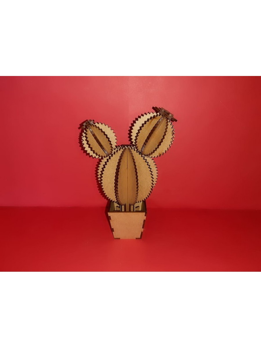 Miniatura Cacto G RF003