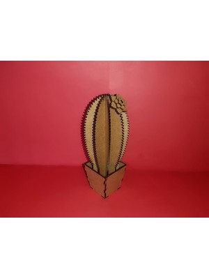 Miniatura Cacto G RF005