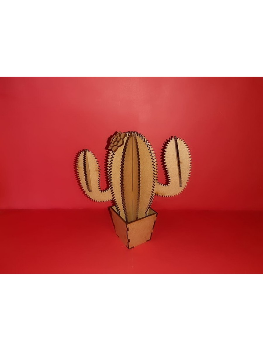 Miniatura Cacto G RF006